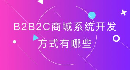 b2b2c商城系統開發方式有哪些?